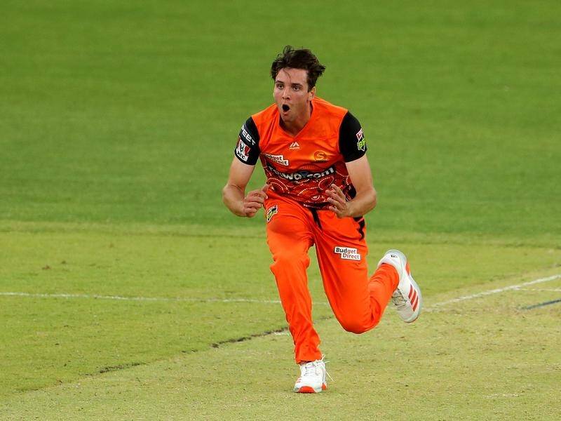 Jhye Richardson has been tipped for an international cricket recall after starring in the BBL.