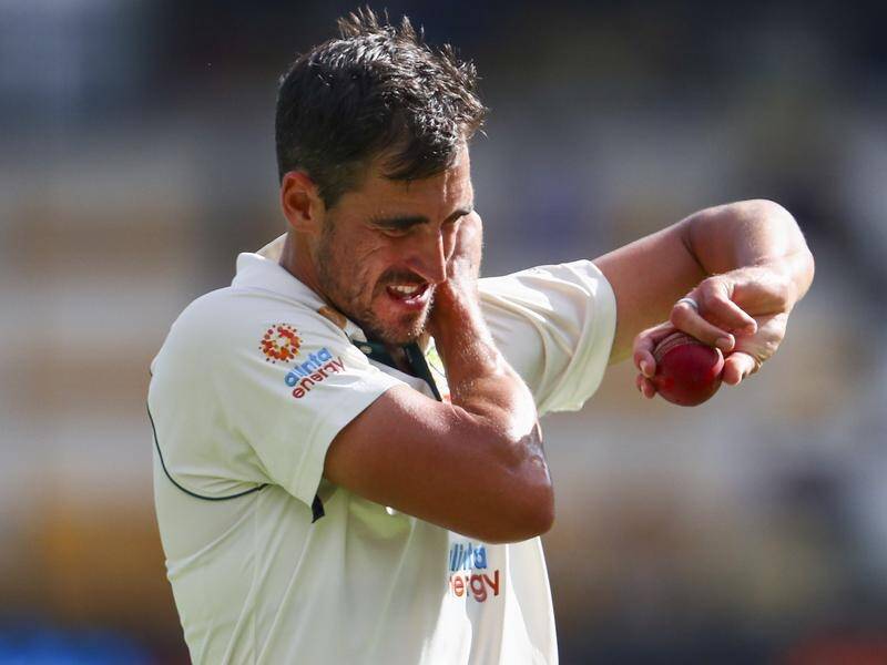 Tim Paine is standing by Mitchell Starc despite the quick being punished by India on the final day.
