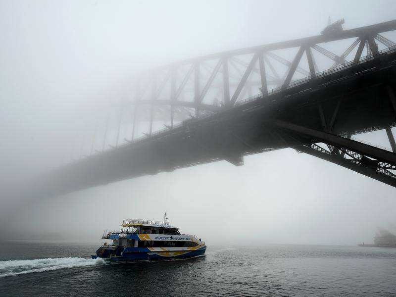 A man has been charged after illegally climbing the Sydney Harbour Bridge in thick fog.