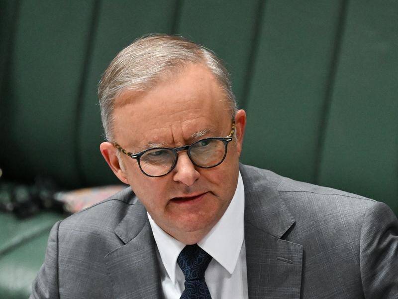 Anthony Albanese has welcomed steps towards a ceasefire in Gaza. (Lukas Coch/AAP PHOTOS)