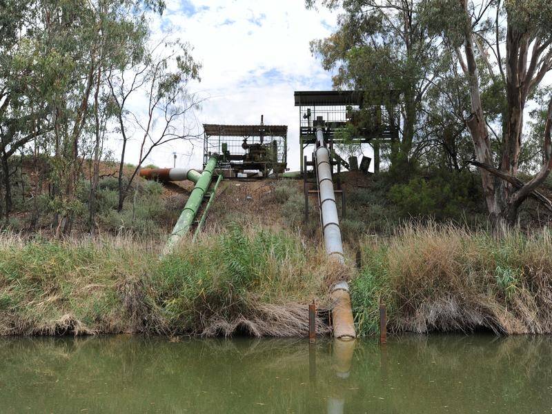 Water management by NSW departments has favoured irrigators, an ICAC investigation has found.