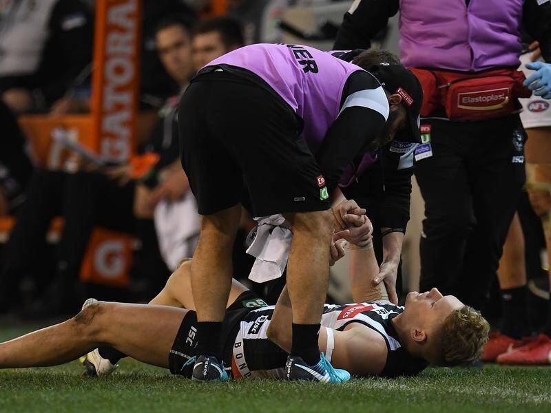 Star Collingwood midfielder Adam Treloar could be out for two months with a hamstring injury.