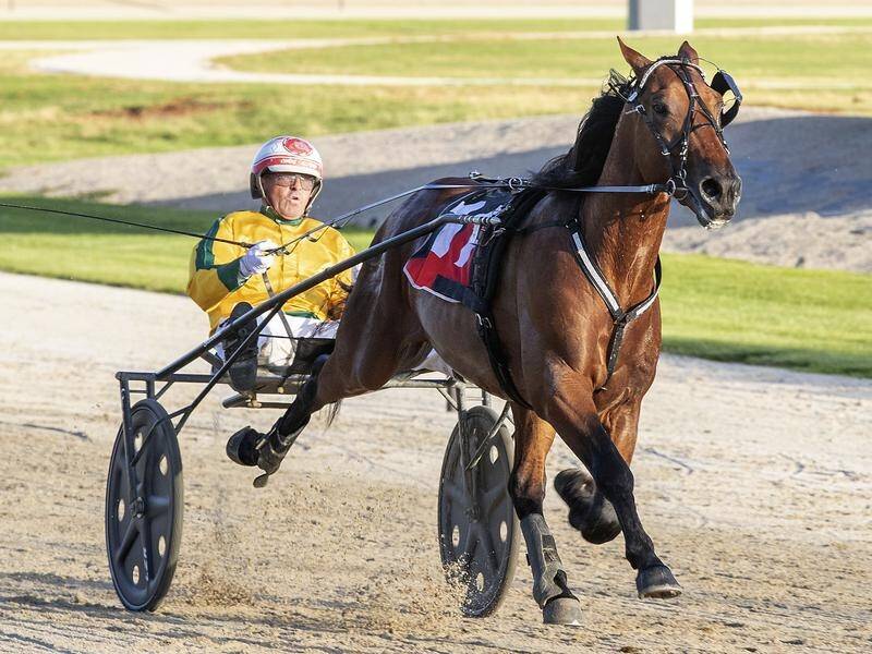 Champion reinsman Chris Alford is on track to make history again with a 100th Group One win.