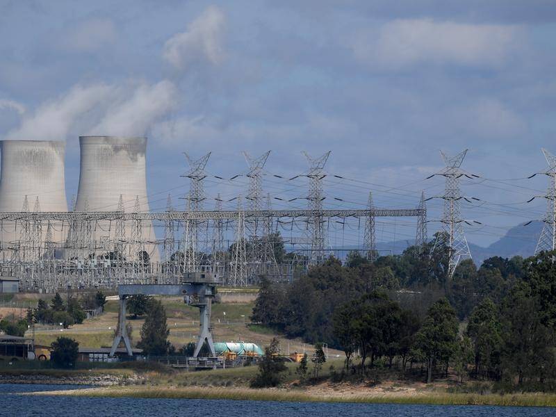 AGL Energy says accelerating decarbonisation plans would be too risky.
