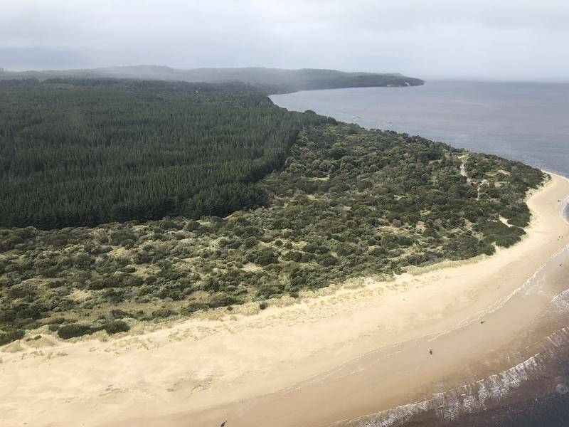A trail bike rider has died after crashing his bike at a beach on Tasmania's west coast.