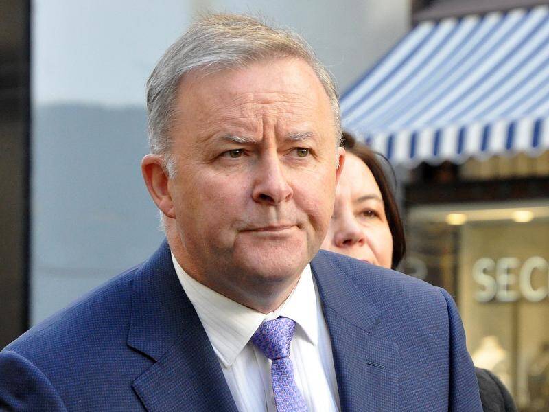 Anthony Albanese says WA's opposition leader talked down Perth with her "meth zombies" remark.