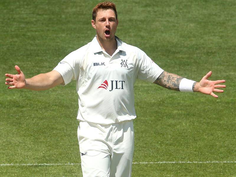 Victoria bowler James Pattinson is poised to make another injury comeback in the Sheffield Shield.