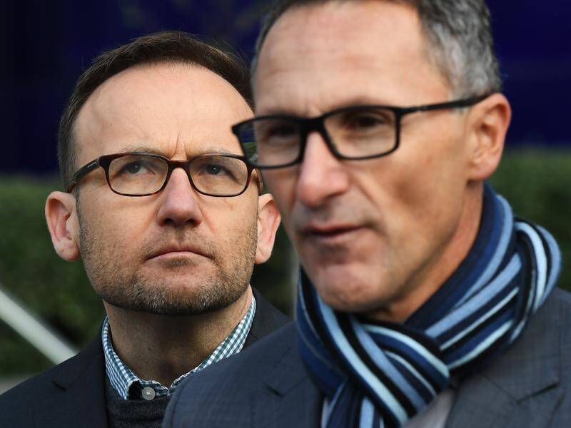 Adam Bandt wants the government to release the full modelling on its national energy guarantee.