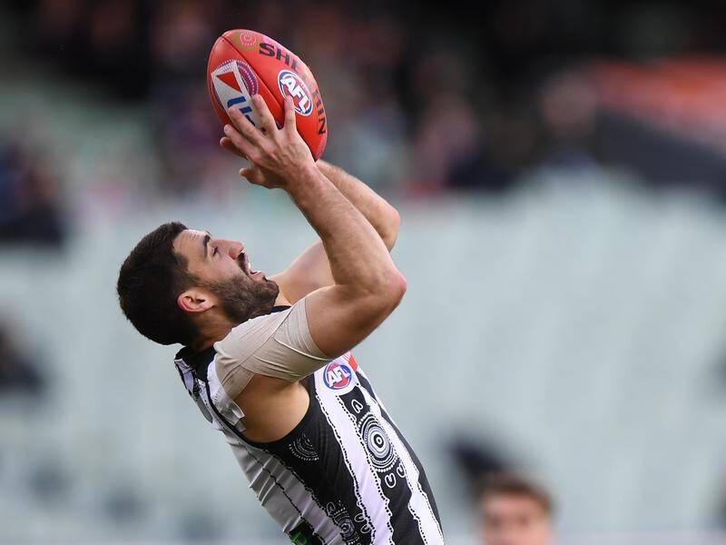 Collingwood's Alex Fasolo will miss around seven weeks of the AFL.