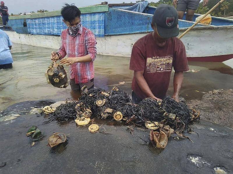 A dead whale that washed ashore in Indonesia had a large amount of plastic in its stomach.