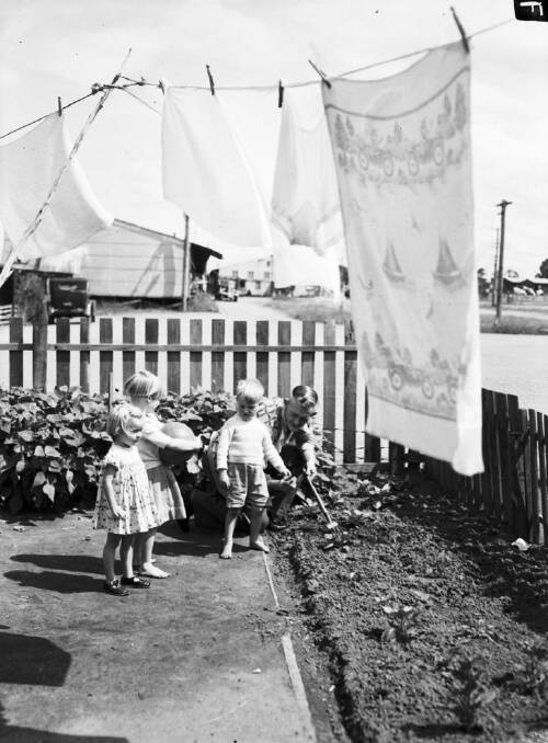 A family tends to its vegetable garden at the Housing Commission project at Hagrave Park, NSW, 19 February 1953.
SMH Picture by Gordon Short

M20/16/57-64

Chores, domestic, welfare, government assistance, homes, 1950s, black and white, history, archival, backyard, laundry, washing line