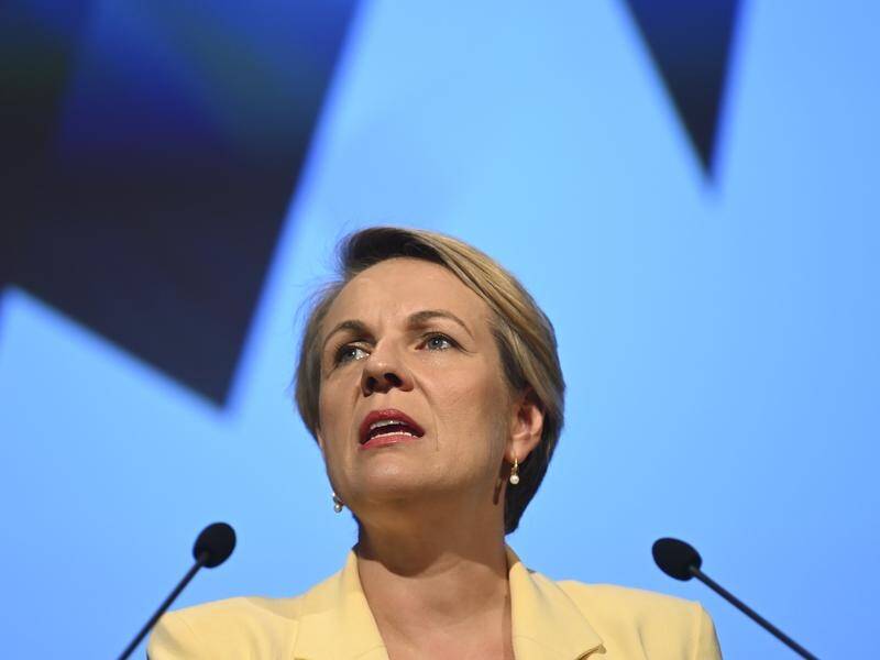 Tanya Plibersek says woman should be able to access abortion services when they need them.