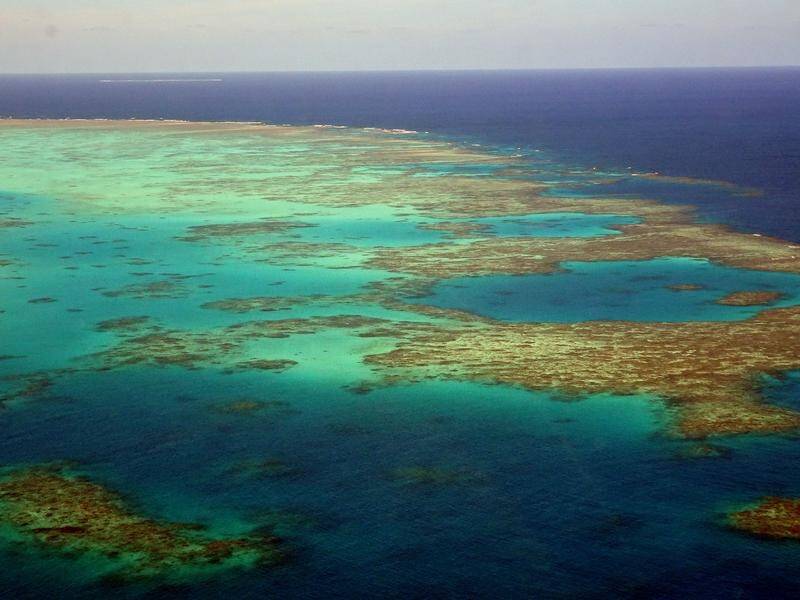 A government grant to the Great Barrier Reef Foundation had key shortcomings, an audit has found.