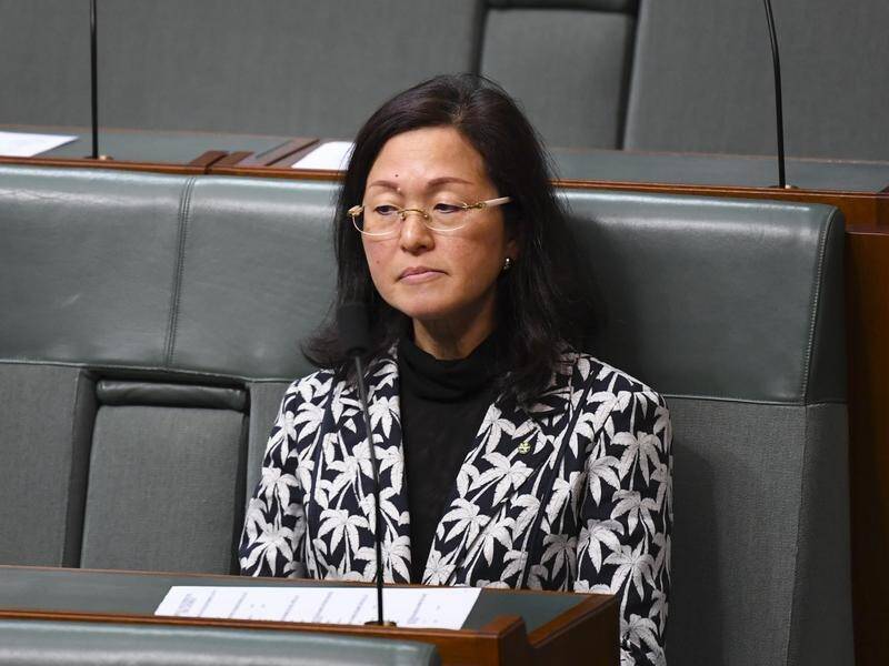 Labor is after Gladys Liu amid claims she helped a Chinese-owned company secure access to MPs.