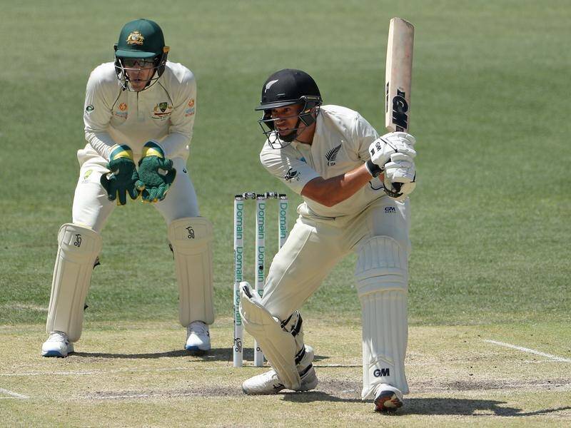 Ross Taylor insists New Zealand will relish chasing Australia's huge 417 lead in the first Test.