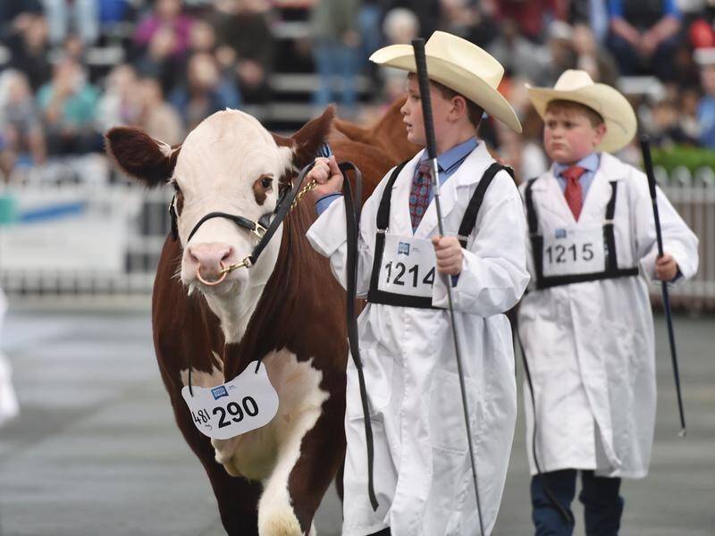 The Royal Melbourne Show is again expected to draw in hundreds of families over its opening weekend.