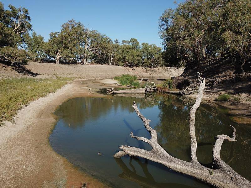 The Murray-Darling Basin Plan cannot be delivered on time and will fall short on water recovery. (Dean Lewins/AAP PHOTOS)