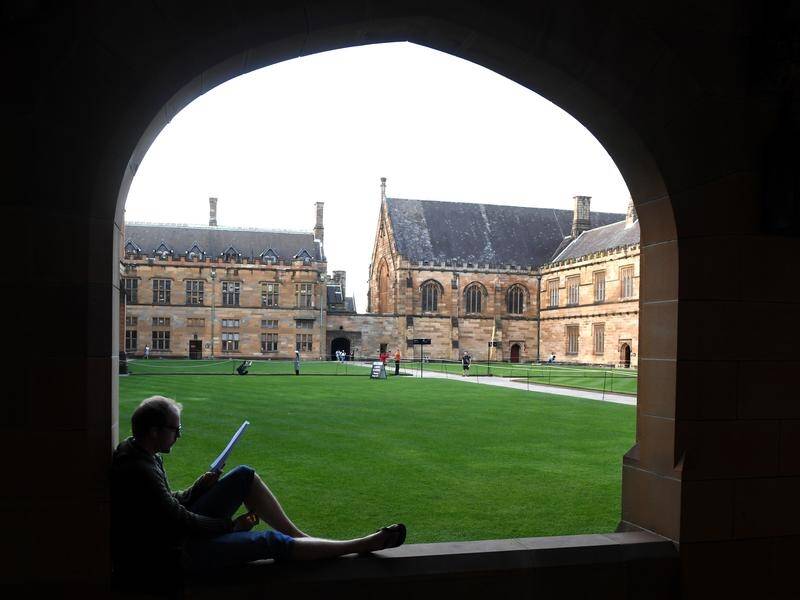 The consumer watchdog is letting NSW and ACT universities collaborate on taking overseas students.