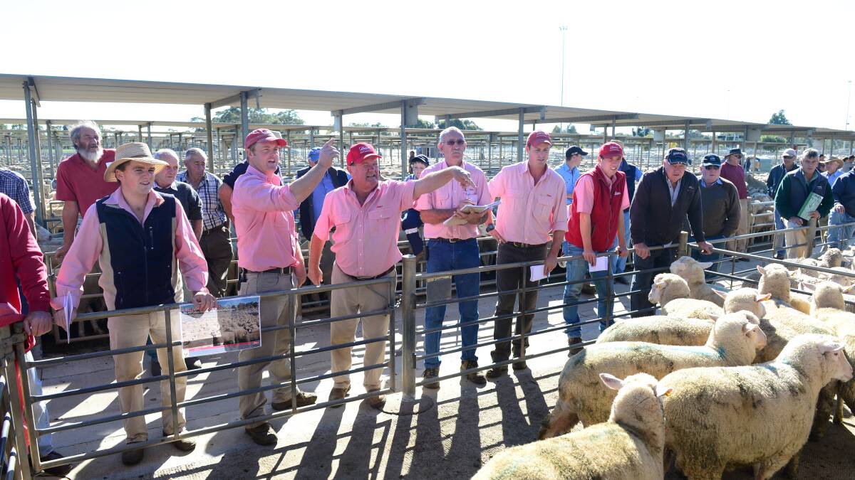 Elders auctioneer John Sutherland conducts the auction for the charity lambs. Pictures: JIM ALDERSEY