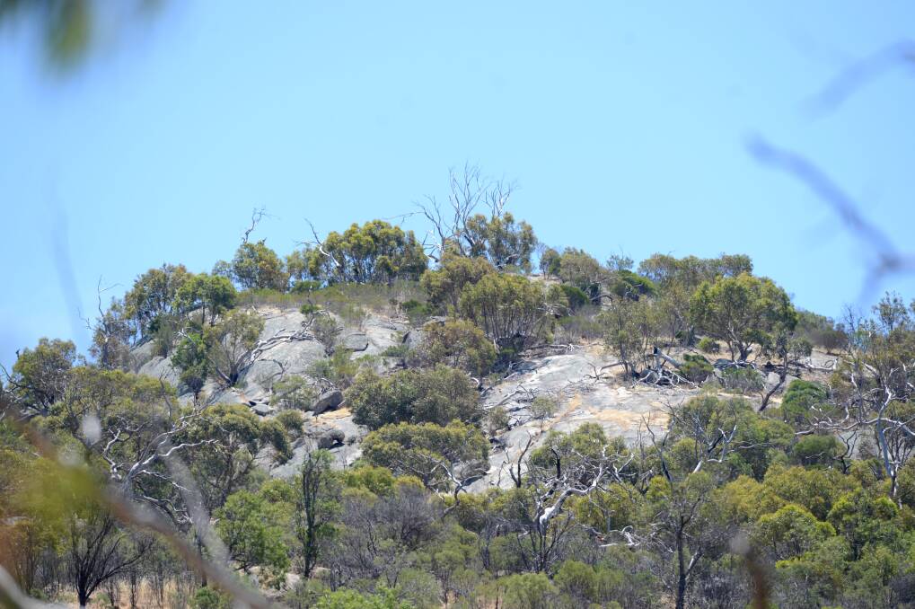SEARCH: Police found the body of Wayne Amey at Mount Korong on Wednesday. Picture: JIM ALDERSEY