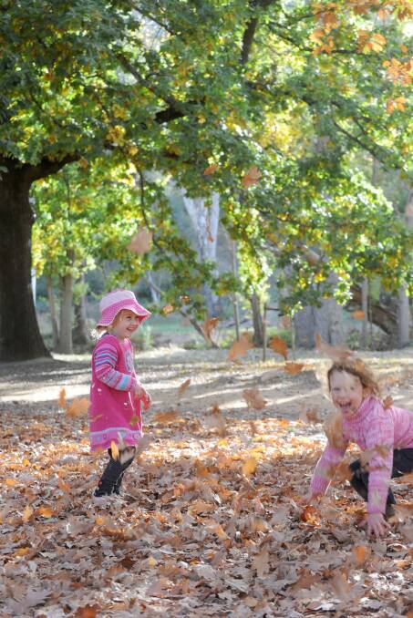 Eadi Williams Berkeley, 3 and Scarlett McMahon, 4 in the Castlemaine Botanical Gardens. Picture: JODIE DONNELLAN 