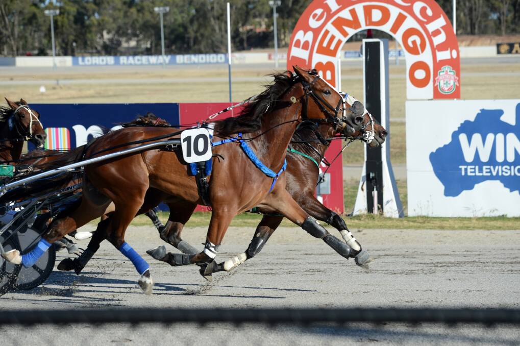 Race 1 finish at Lord's Raceway for Bendigo Harness Racing Club Christmas meeting.
 Picture: JIM ALDERSEY