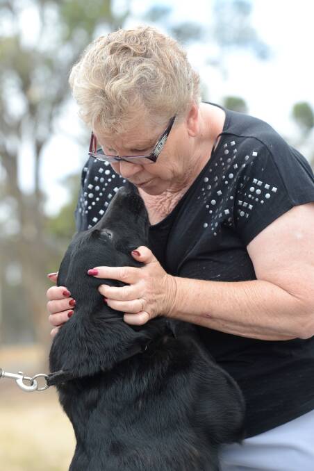 FAME: Carol Hobday with Lucky, the father of two dogs that will star in the new Red Dog movie. Picture: JIM ALDERSEY 