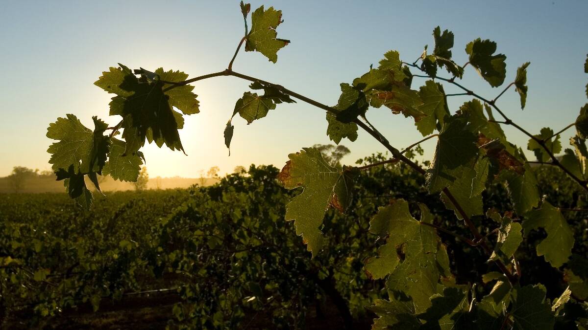 OPPORTUNITIES: Wine Victoria says the Heathcote wine region could be among those to benefit from the recent free trade agreement with Japan.
