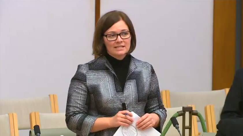WELCOMED: Lisa Chesters addresses parliament on a Senate Inquiry into temporary work visas.