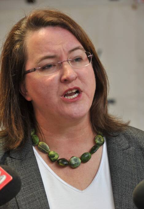 Minister for Mental Health Mary Wooldridge