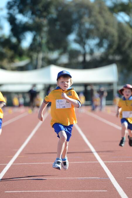 Byron Ritchie sprints to the line in the under-6 50m at Bendigo Little Athletics in Flora Hill.  