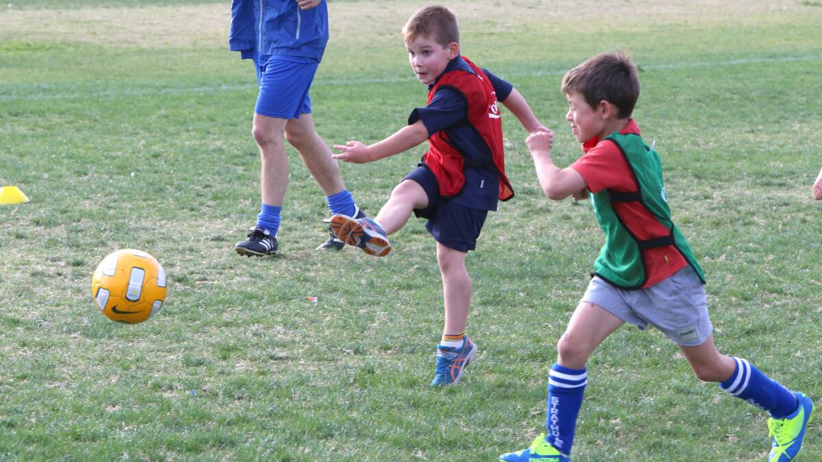 Youngsters gain tips at FC Bendigo clinic   