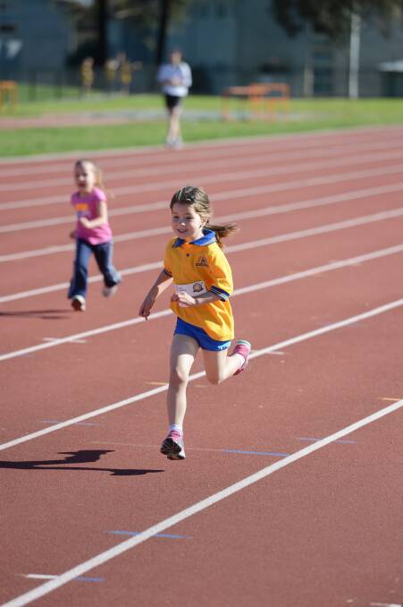 Tess Laird races in the under-6 50m at the Bendigo Little Athletics meet.  