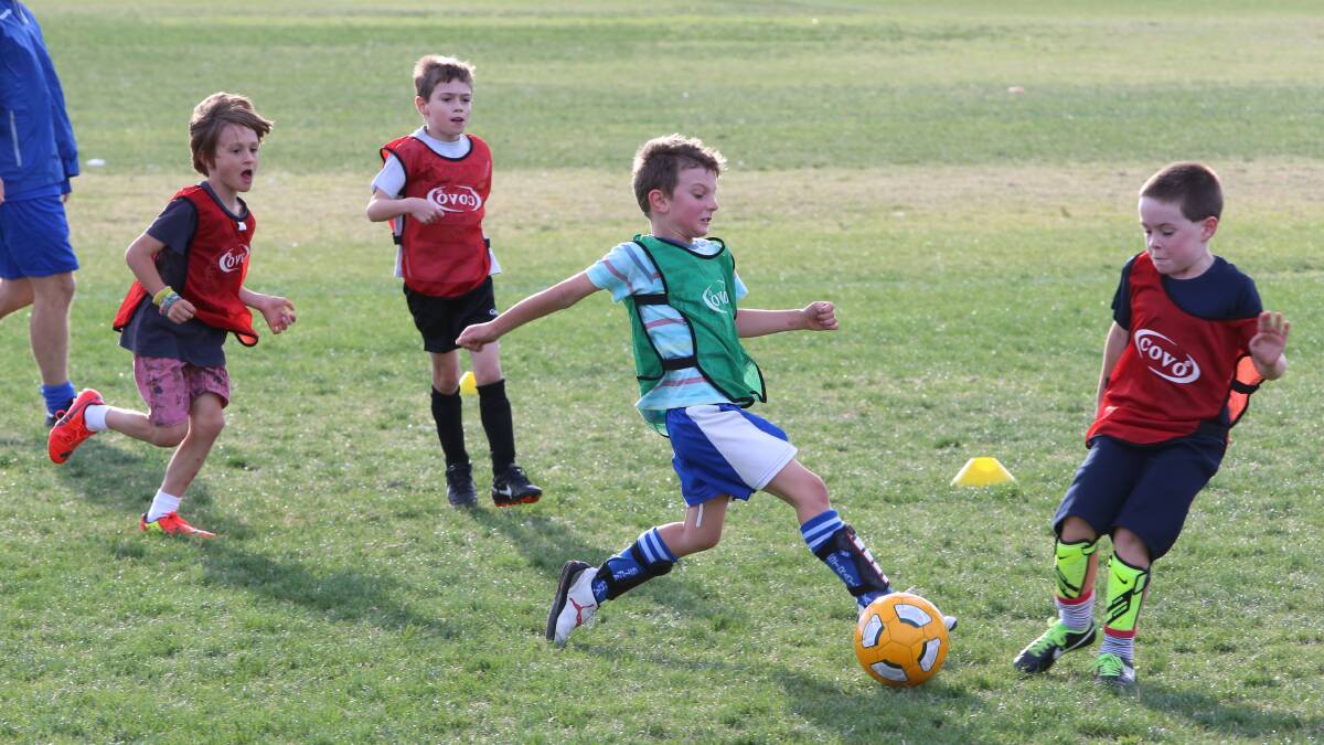 Youngsters gain tips at FC Bendigo clinic   