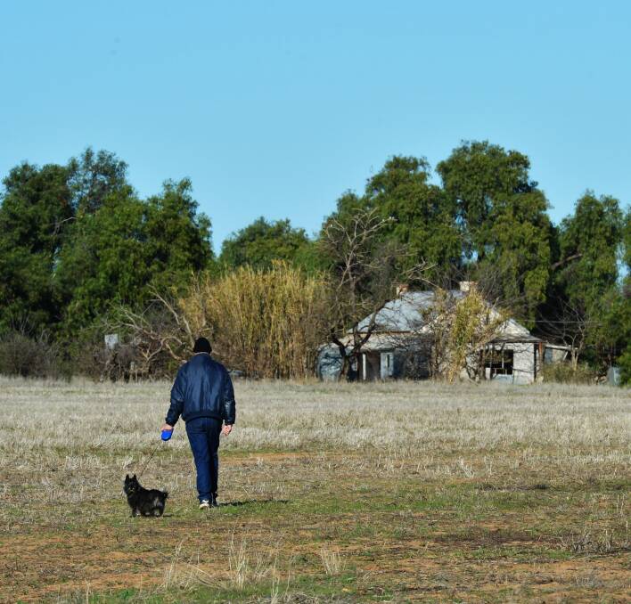 Walking the dog, near Bridgewater.
Picture: BRENDAN McCARTHY