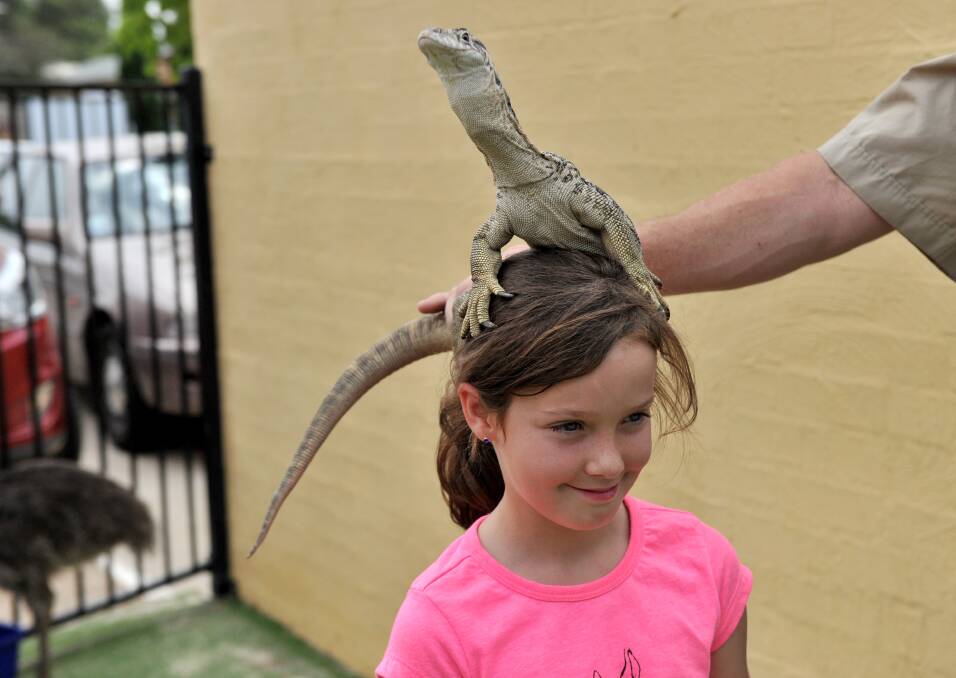 Tori Roberts with Spencer the goanna. Picture: JODIE DONNELLAN