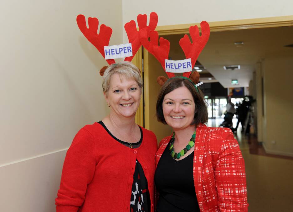 Maree Edwards MP and Lisa Chesters MP. Picture: JODIE DONNELLAN 
