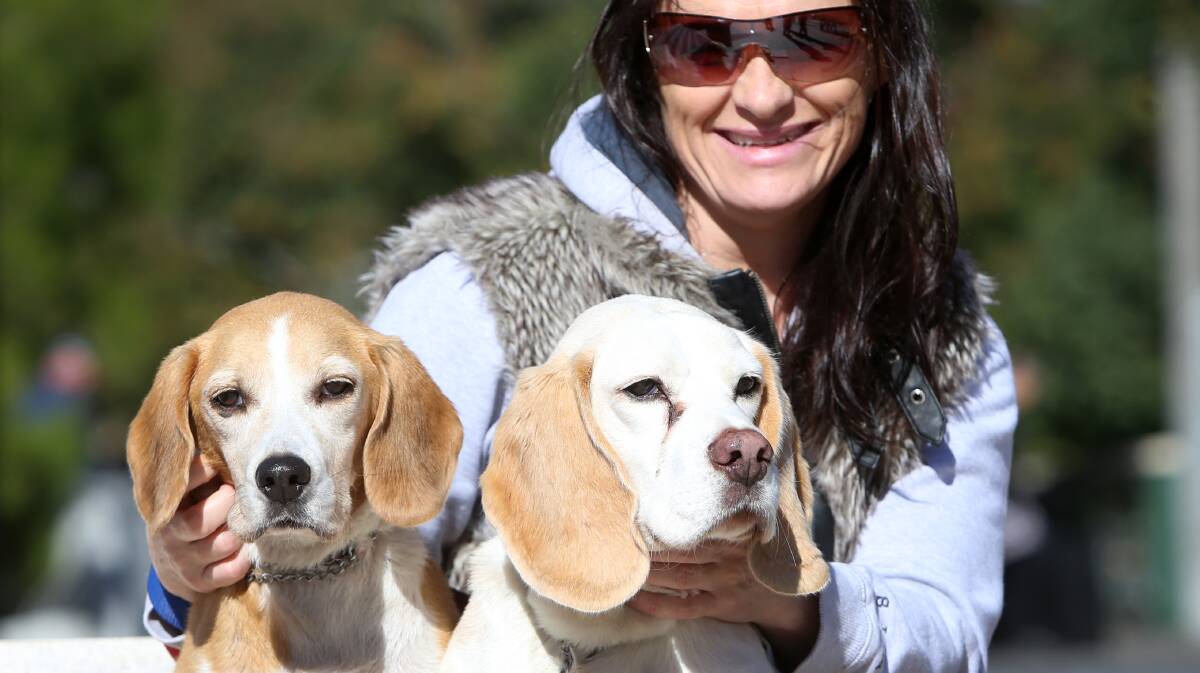 Maeve Oneill, with her dogs,  Molly and Paolo.  