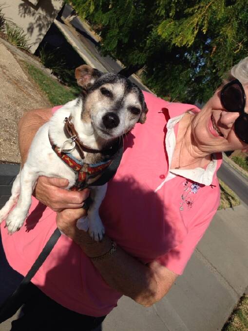 Becky the dog is nearly 14 and gets a walk in Kennington each day, writes KATHY MAHER.