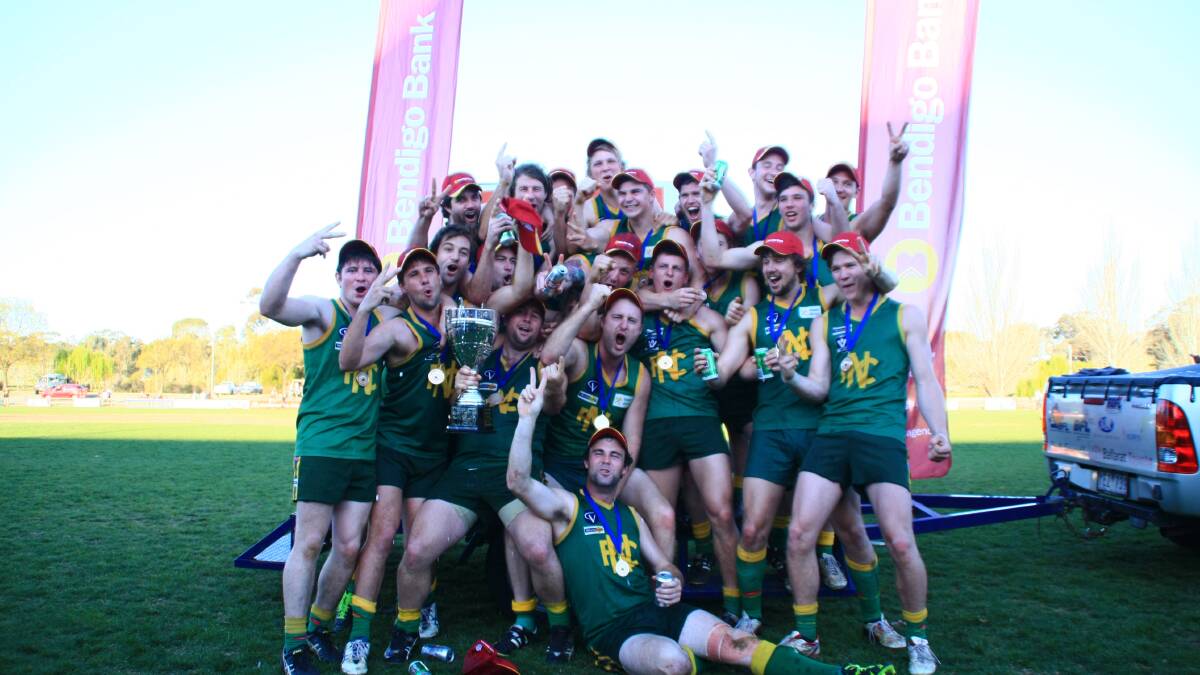 Navarre's 2014 premiership team. Picture: CONTRIBUTED