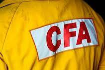CFA vehicle torched by thieves 