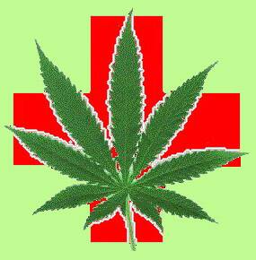 High hopes for medical marijuana