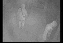 Investigators want to speak to these two males who they believe may be able to assist them with their inquiries. 