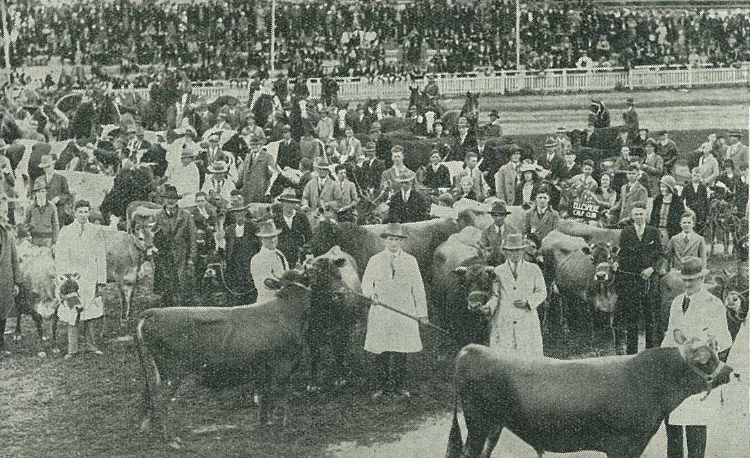 1933 Leading up to the Bendigo Show, we will be printing some flashback photos from October 1933. This one is of the cattle section in the general parade at the show.
