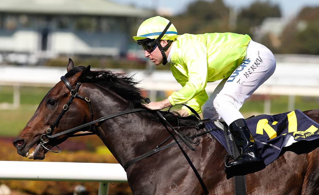Imported stayer Kourkam will be ridden by Dwyane Dunn in the Bendigo Cup. Picture: GETTY IMAGES