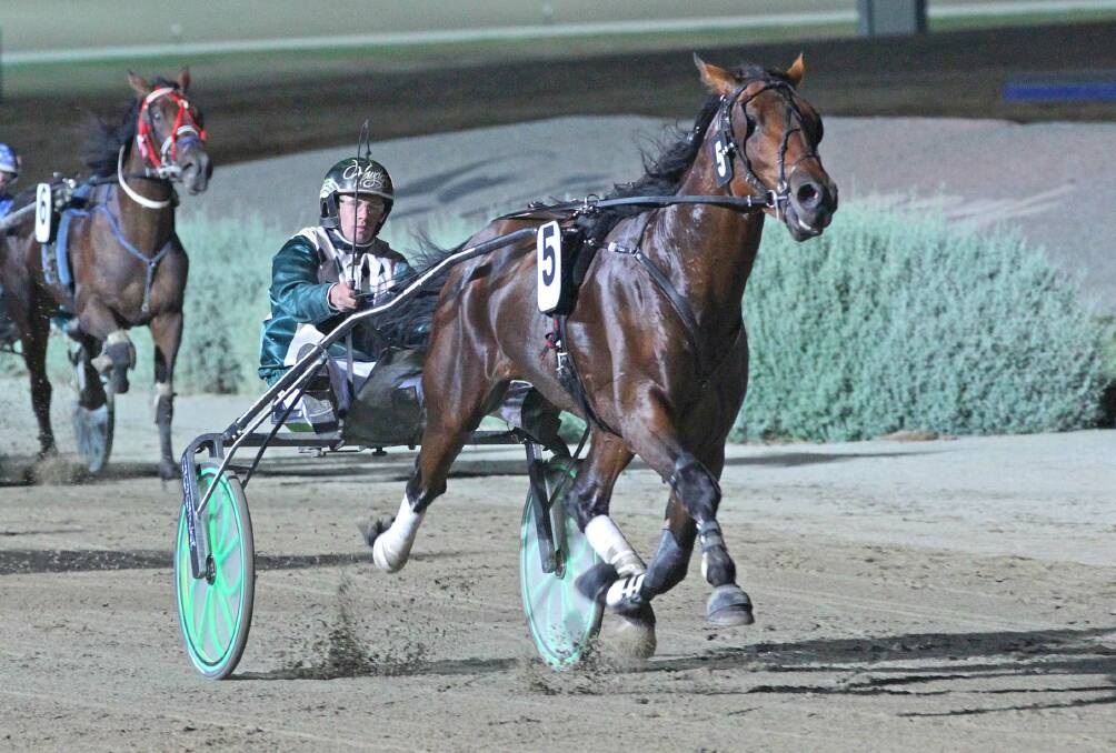 FIT AND FIRING: Maiden Gully trotter Asdenro is the second favourite for Saturday night's Group One NSW Trotters Derby.
