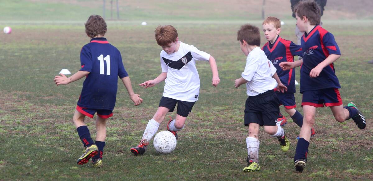 Junior soccer players will benefit from the introduction of the NPLV club.