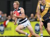 FIT AND FIRING: Former Bendigo Gold star Matthew Farrelly is relishing his new role with Geelong's VFL side. Picture: ARJ GIESE