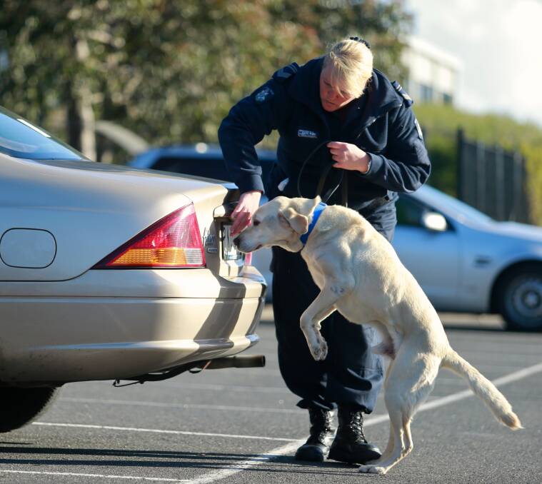 DETECTION: Leading Senior Constable Kathy Koop with her PAD dog. Picture: THE AGE