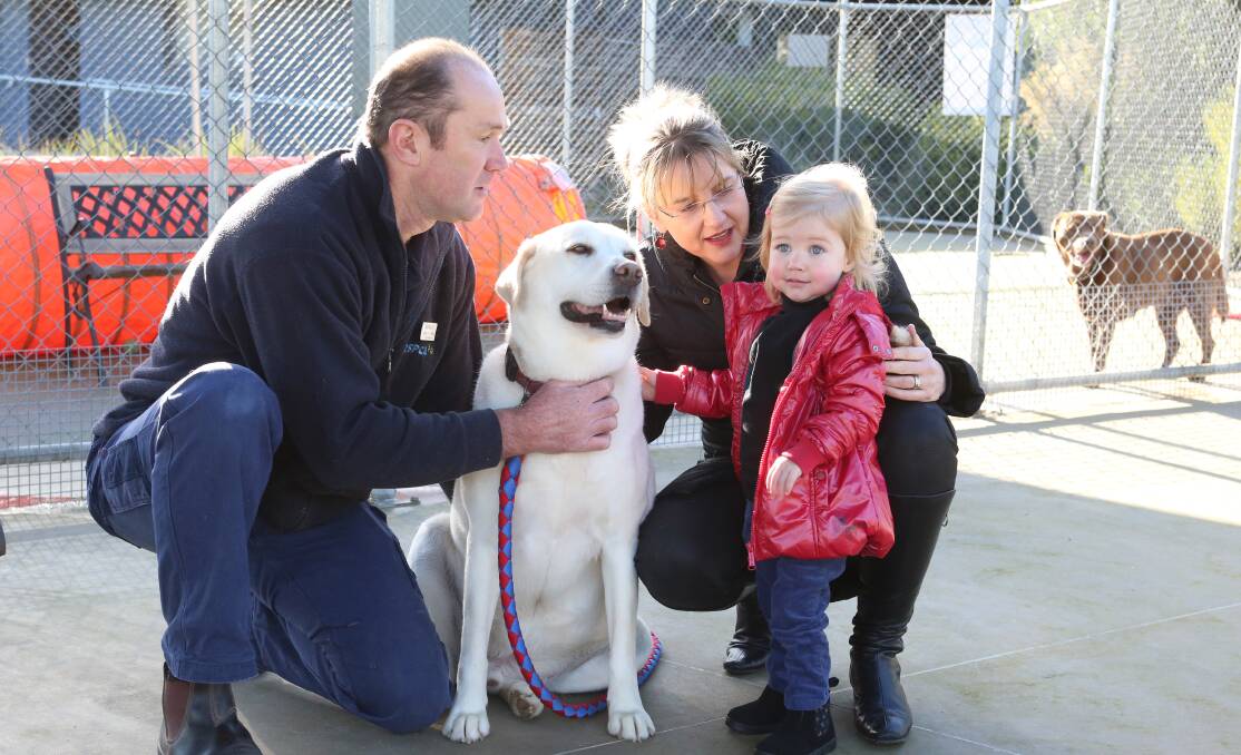  RESCUE: RSCPA shelter supervisor Mark Goodwin, Jacinta Allan and her daughter Peggy Piper pat Jake the dog, who is up for adoption. Picture: PETER WEAVING